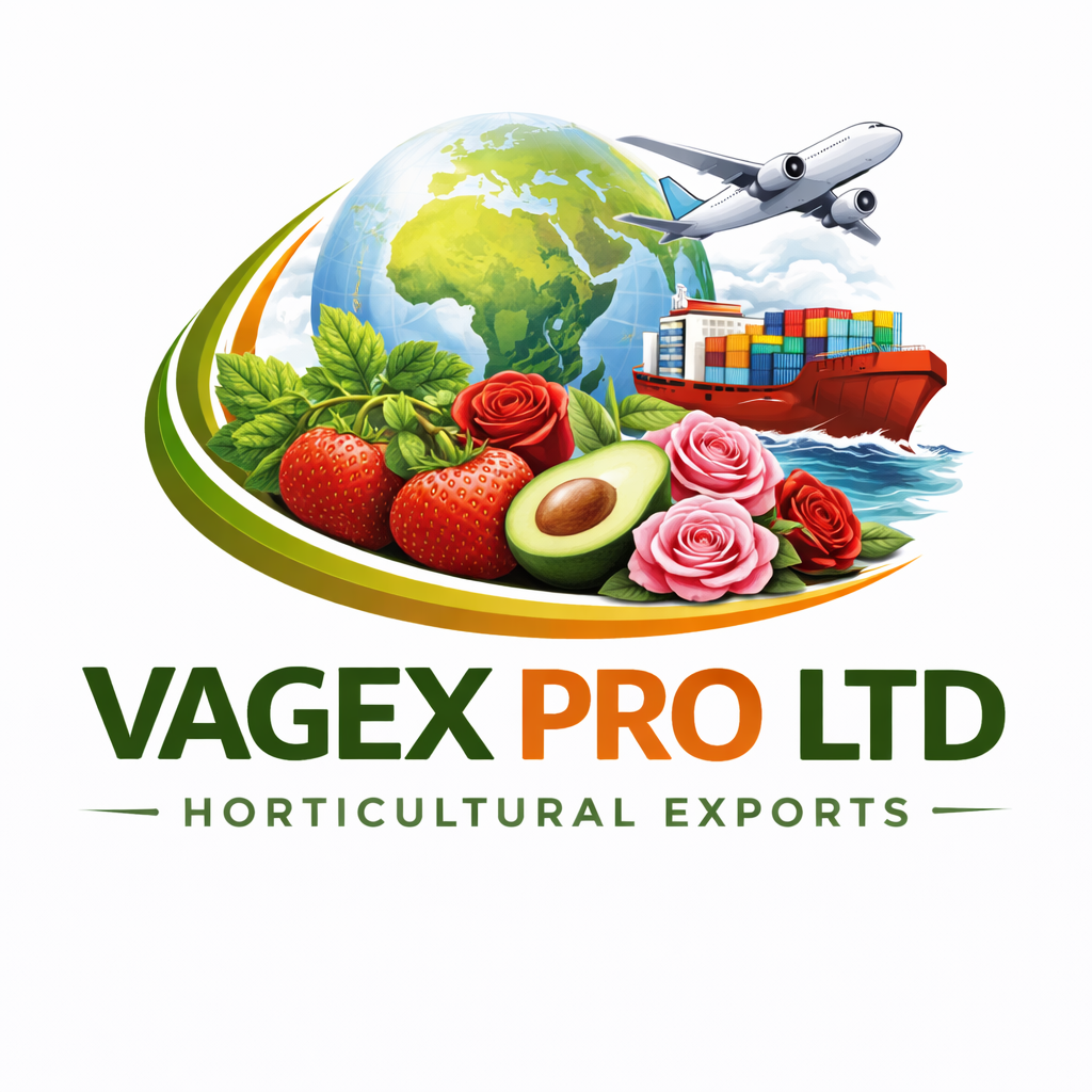 VAGEX PRO LTD logo